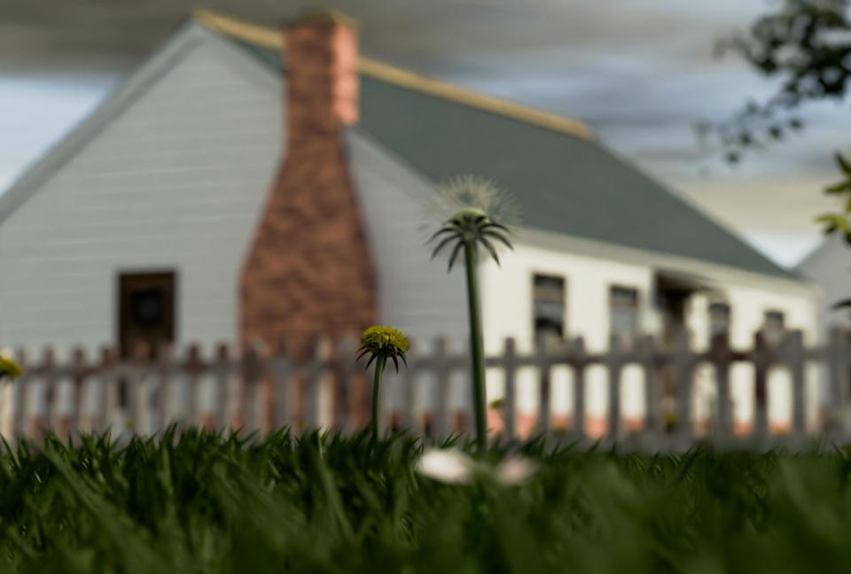 Close-up on a dandelion clock