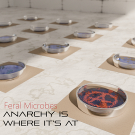 Feral Microbes - Anarchy Is Where It's At